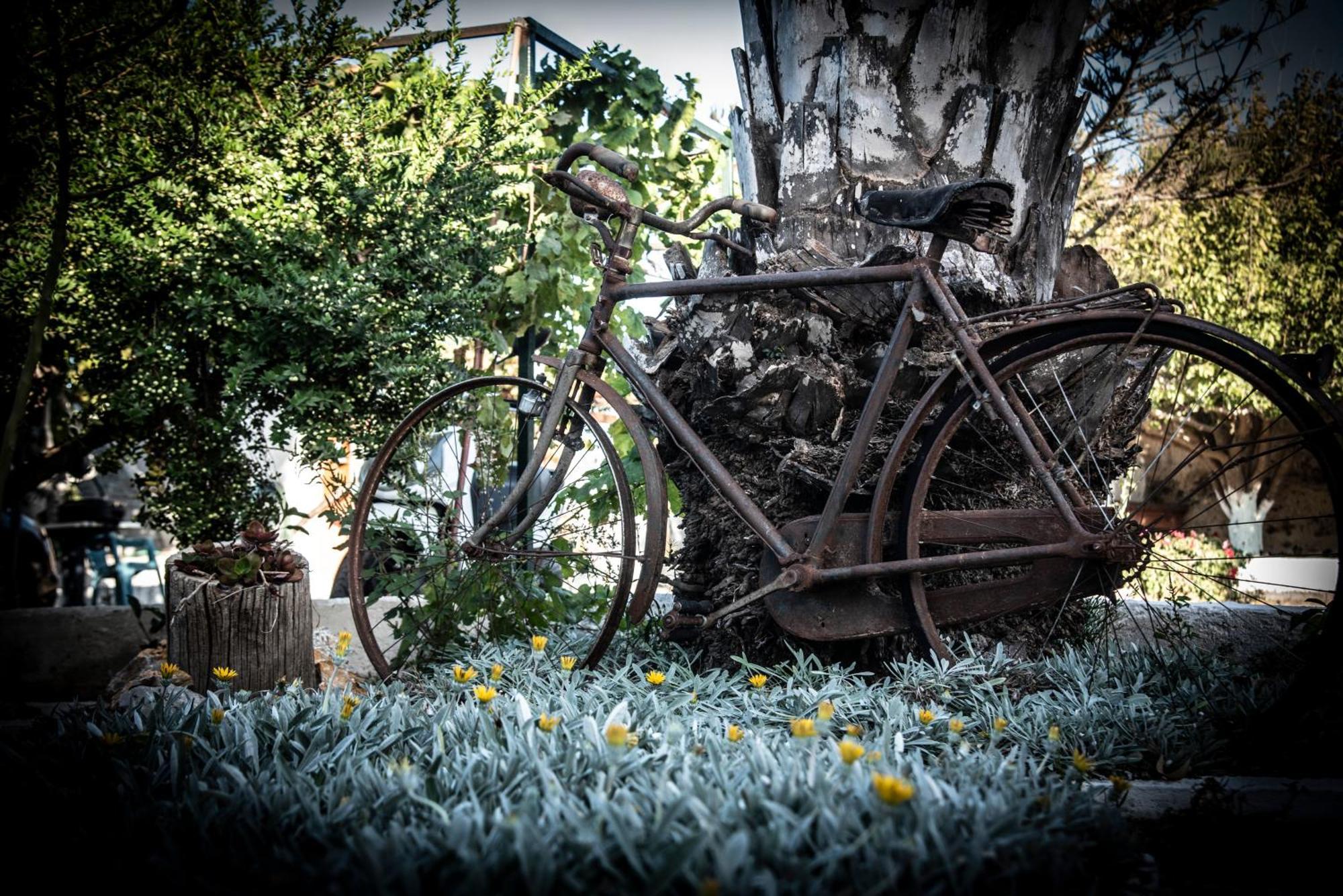Nikos Studios Kéfalos Extérieur photo
